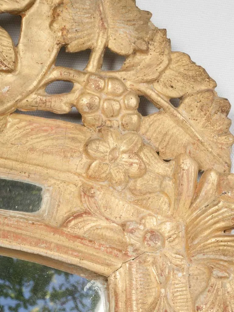 Louis XIV Style Gilded Parclose Mirror w/ Floral and Foliate Motifs
