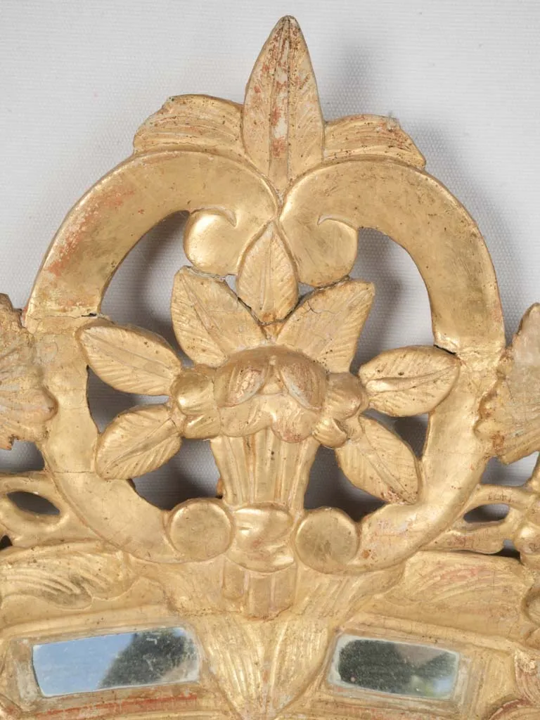 Louis XIV Style Gilded Parclose Mirror w/ Floral and Foliate Motifs