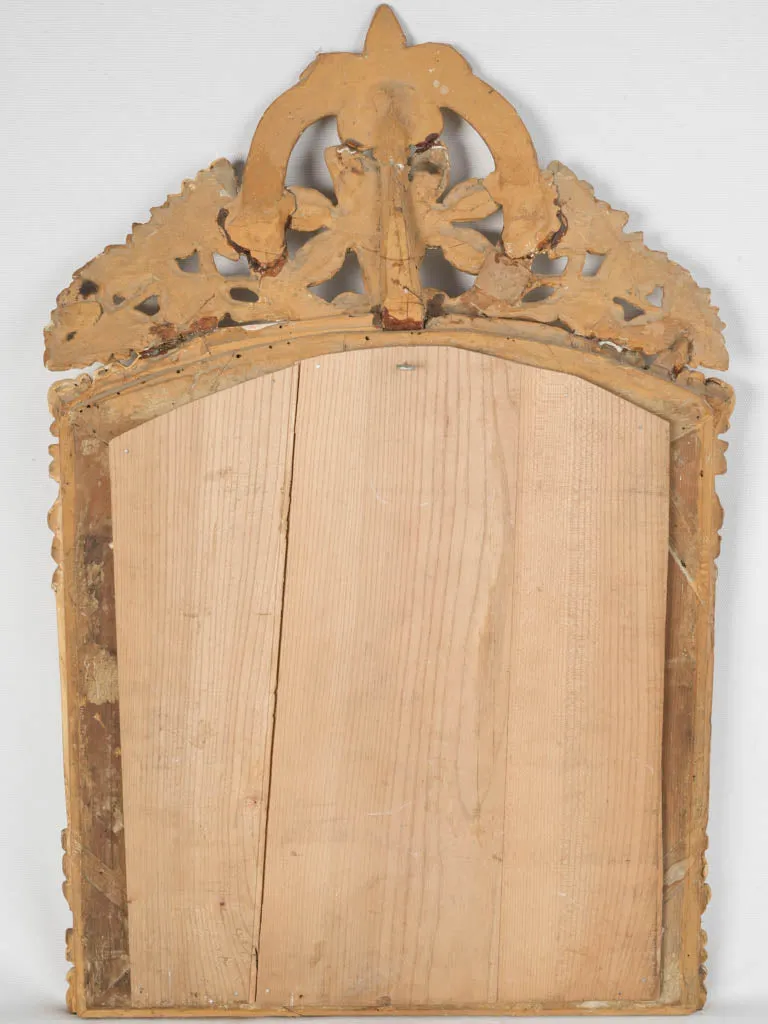 Louis XIV Style Gilded Parclose Mirror w/ Floral and Foliate Motifs