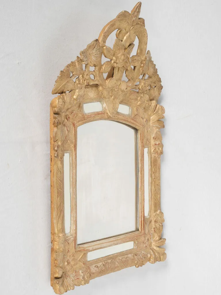 Louis XIV Style Gilded Parclose Mirror w/ Floral and Foliate Motifs