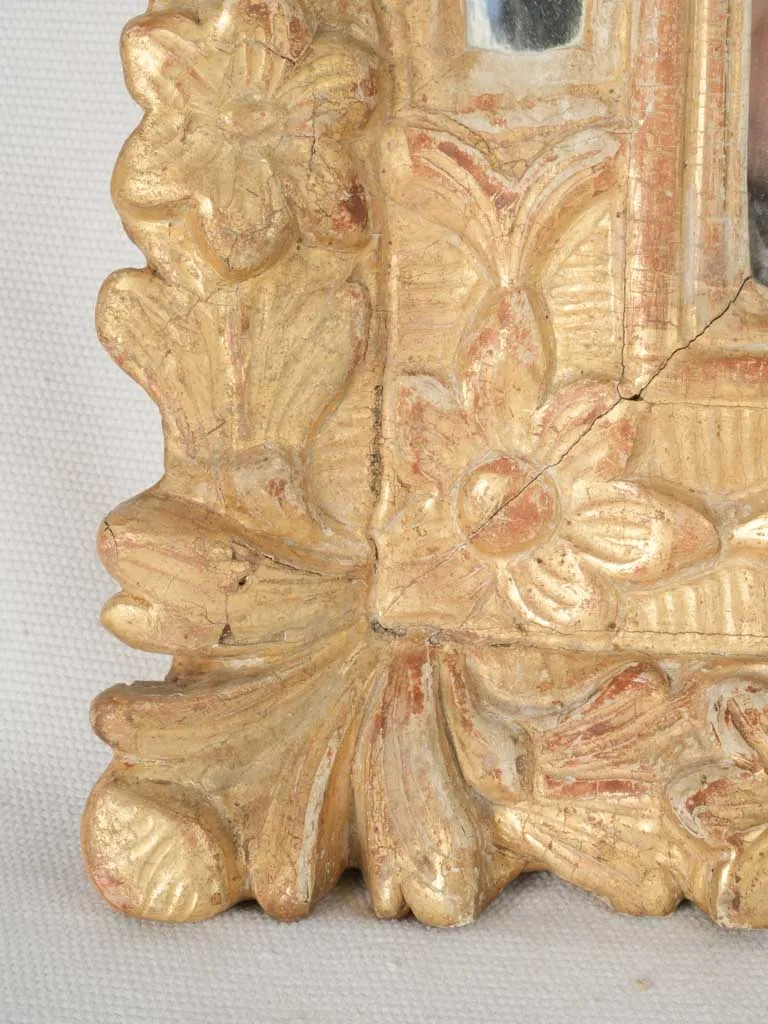 Louis XIV Style Gilded Parclose Mirror w/ Floral and Foliate Motifs