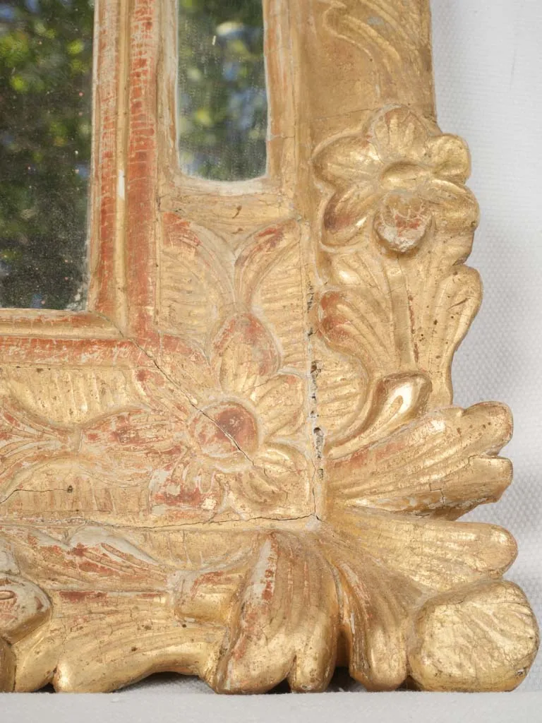 Louis XIV Style Gilded Parclose Mirror w/ Floral and Foliate Motifs