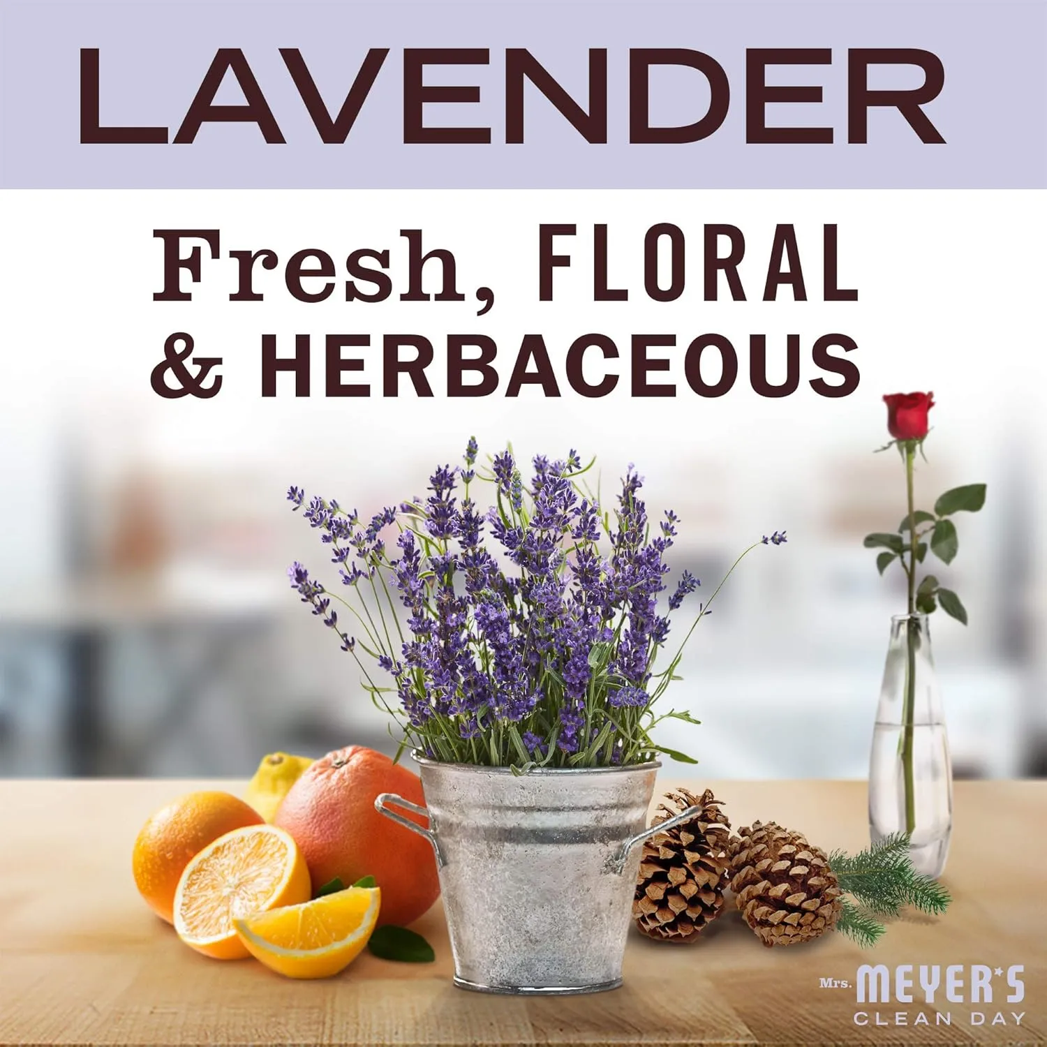 MRS. MEYER'S CLEAN DAY Moisturizing Body Wash for Women and Men, Biodegradable Shower Gel Formula Made with Essential Oils, Lavender, 16 oz